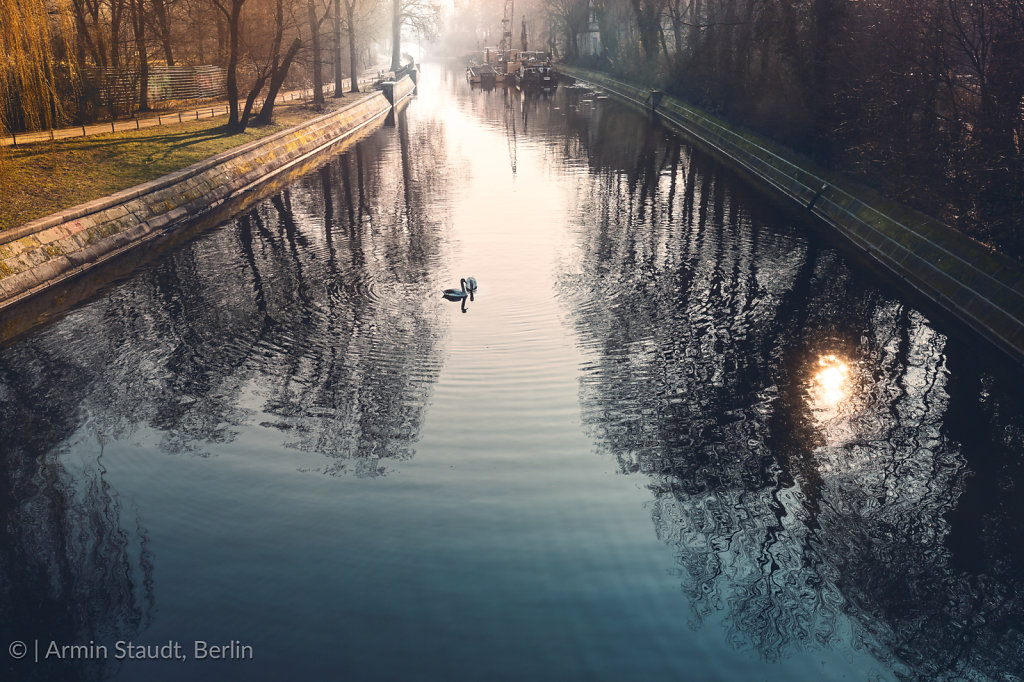 Canal in Berlin Kreuzberg, morning impression with to swans 
